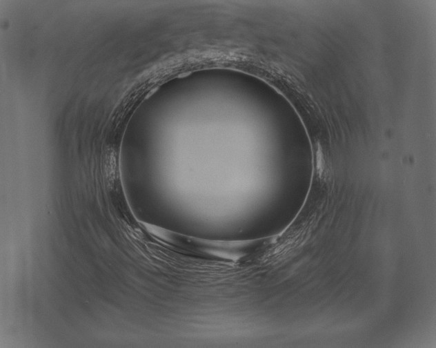 X0000073861492200608170929