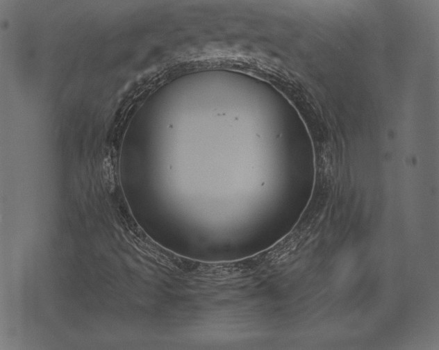 X0000073861493200608170929