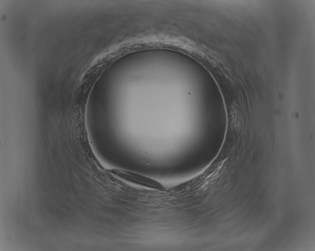 X0000073861494200608170929