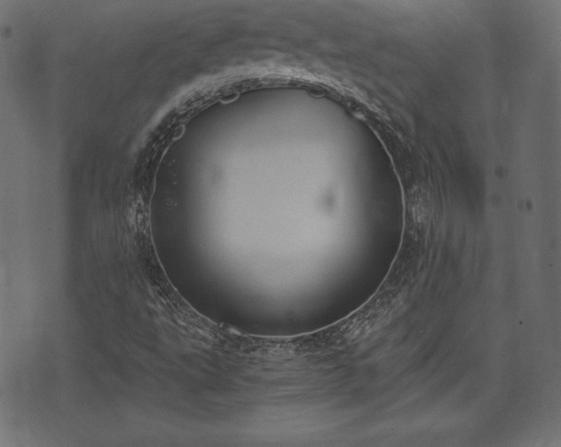 X0000073861495200608170929