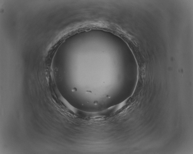 X0000073861496200608170929