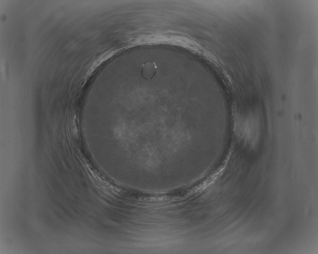 X0000073861497200608170929