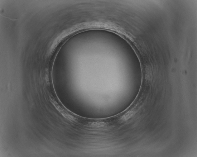 X0000073861499200608170929