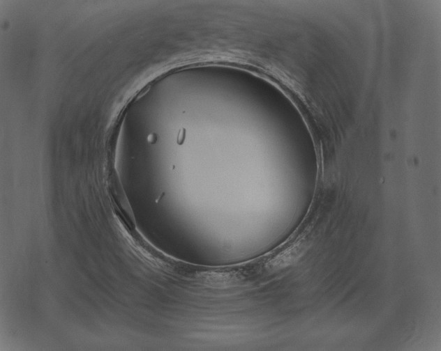 X0000073861500200608170929