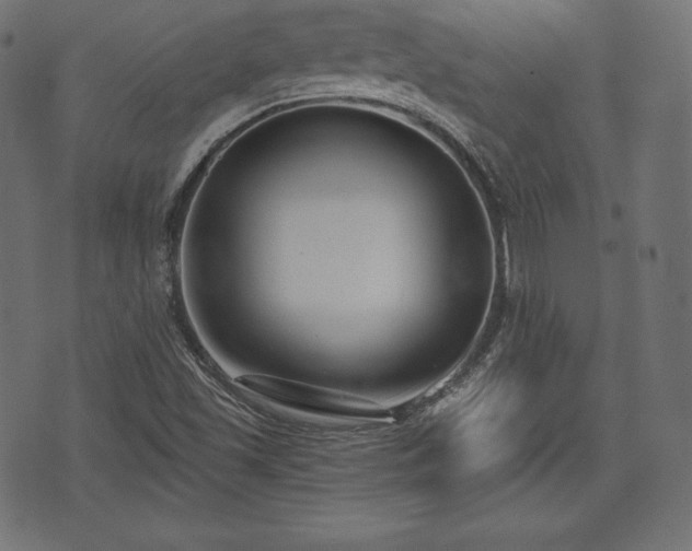 X0000073861501200608170929