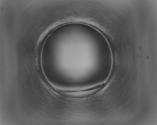 X0000073861502200608170929