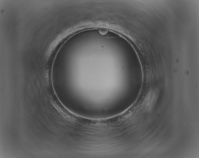 X0000073861503200608170929