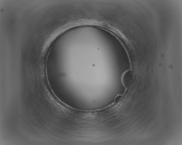 X0000073861504200608170929