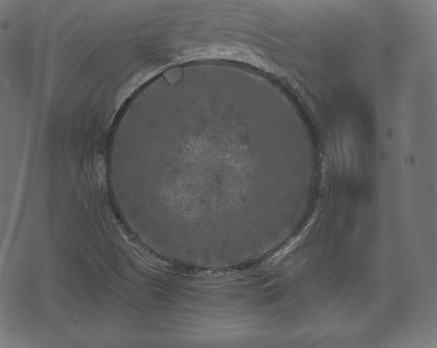 X0000073861505200608170929