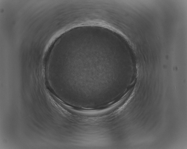 X0000073861506200608170929