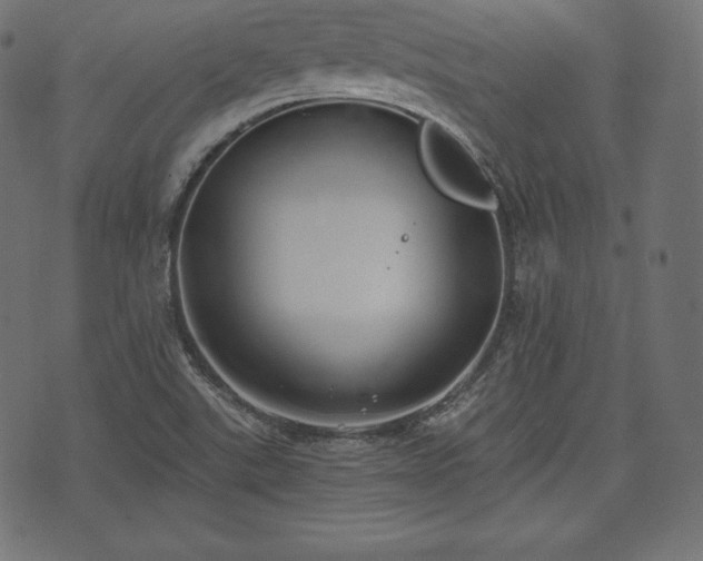 X0000073861507200608170929