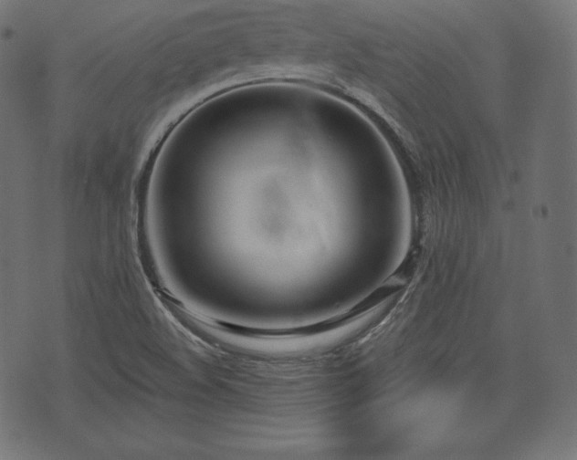 X0000073861508200608170929