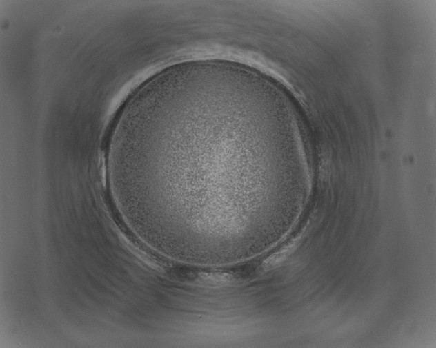 X0000073861509200608170929