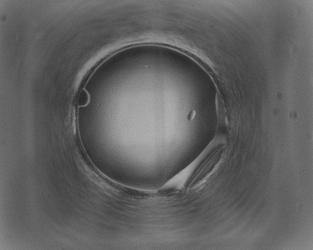 X0000073861510200608170929