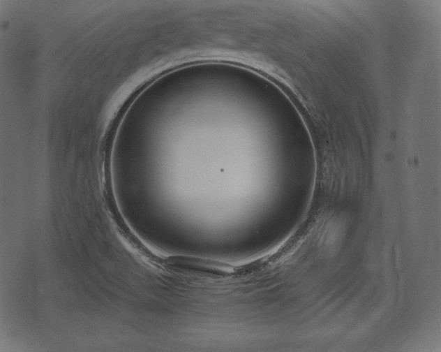 X0000073861511200608170929