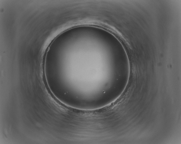 X0000073861512200608170929