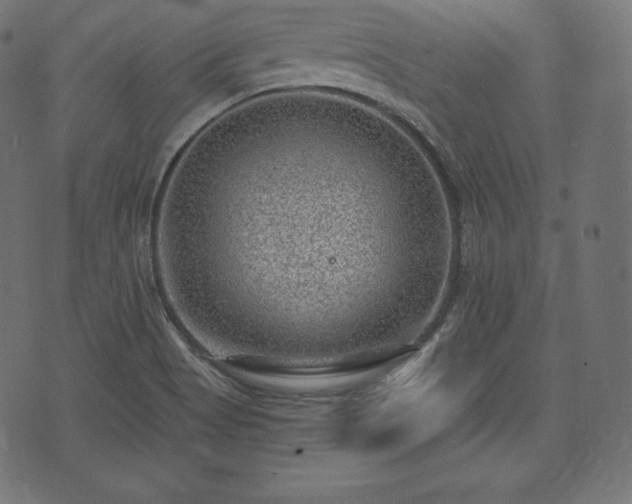 X0000073861513200608170929