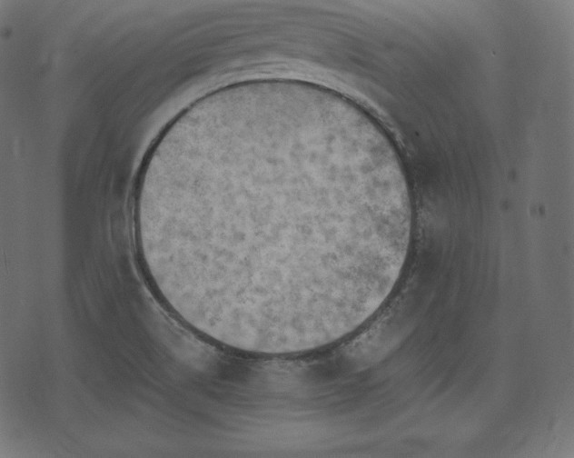 X0000073861514200608170929