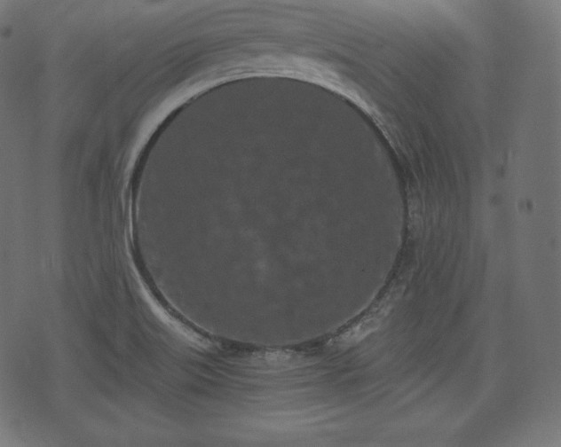 X0000073861515200608170929