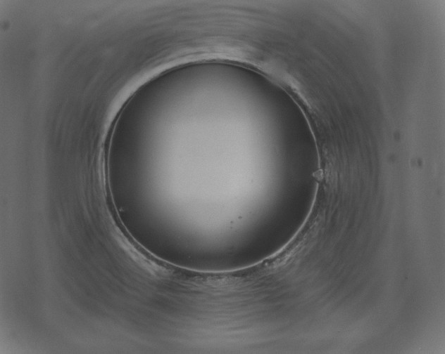 X0000073861516200608170929