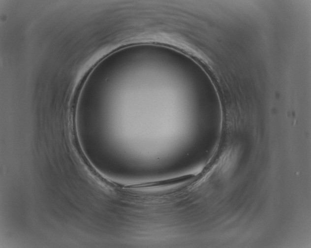 X0000073861517200608170929