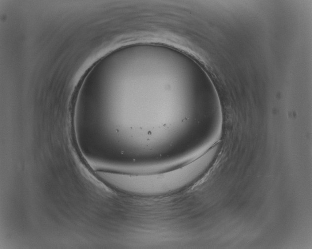 X0000073861518200608170929