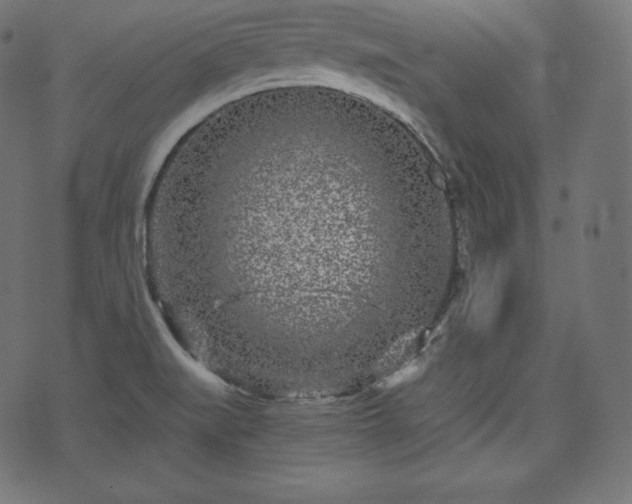 X0000073861519200608170929