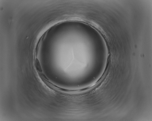 X0000073861520200608170929