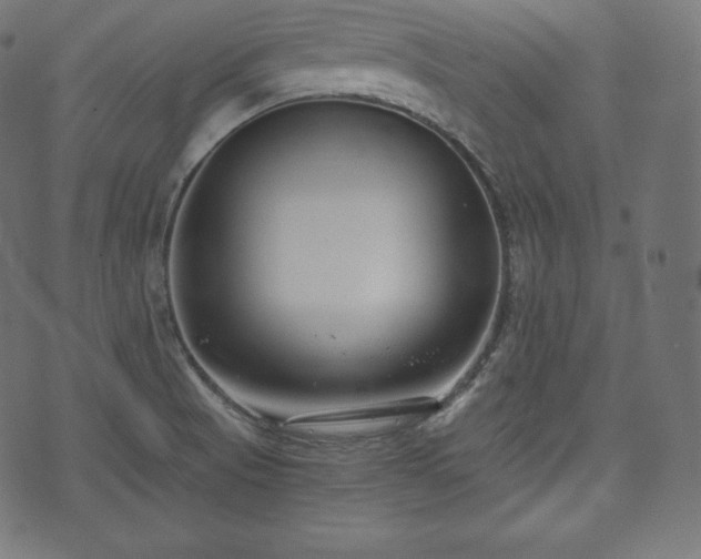 X0000073861521200608170929