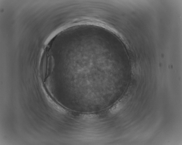 X0000073861522200608170929