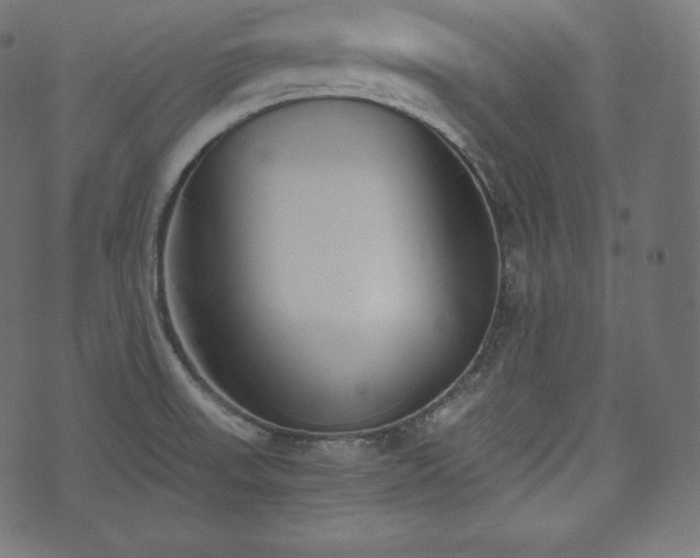 X0000073861523200608170929