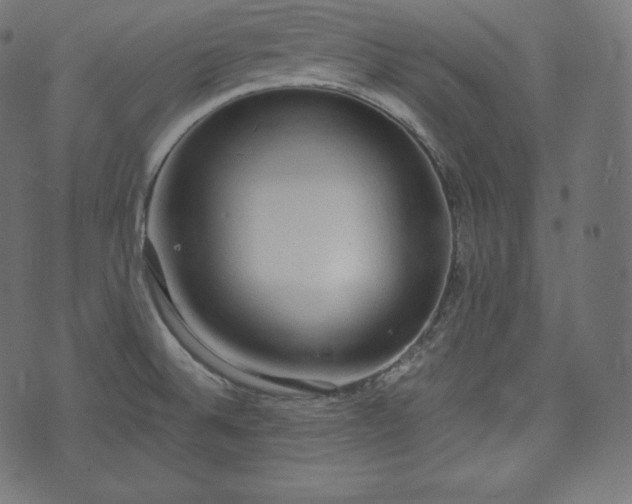 X0000073861524200608170929