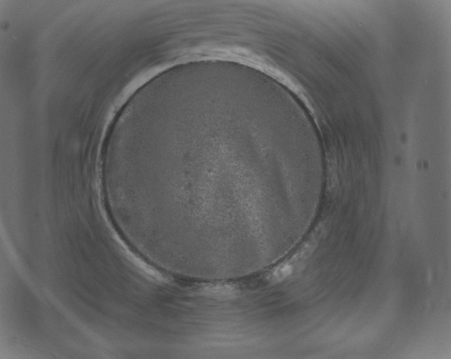 X0000073861525200608170929