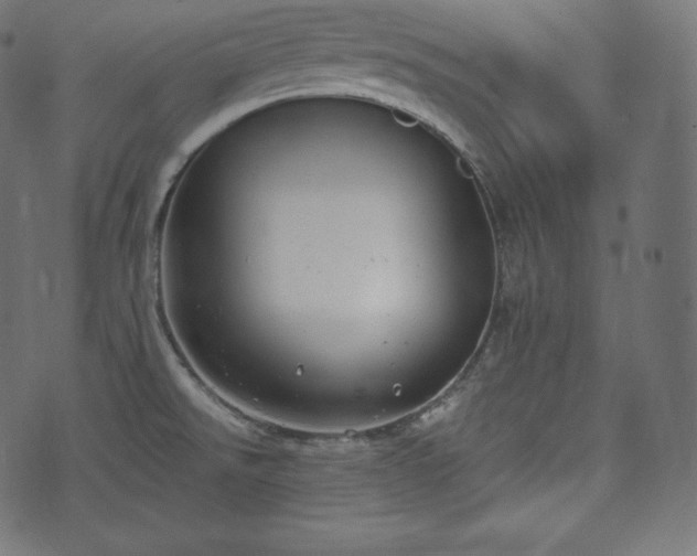 X0000073861526200608170929