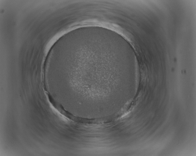 X0000073861527200608170930