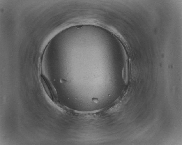 X0000073861528200608170930