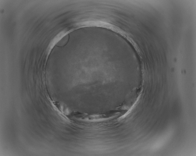 X0000073861529200608170930