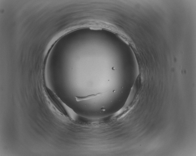 X0000073861530200608170930