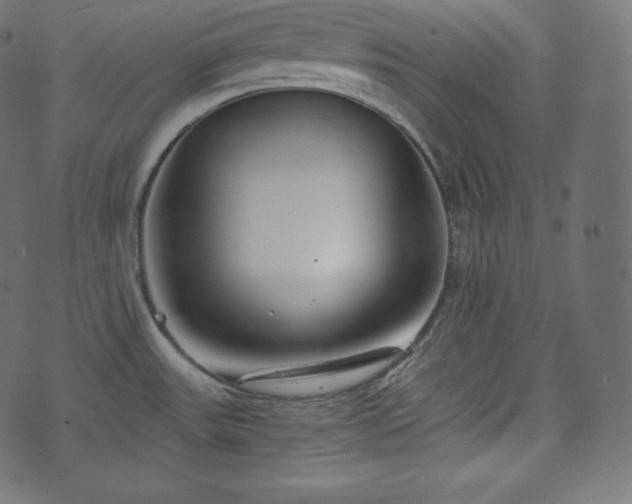 X0000073861531200608170930