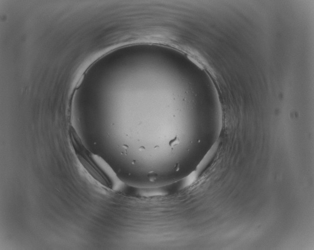 X0000073861532200608170930