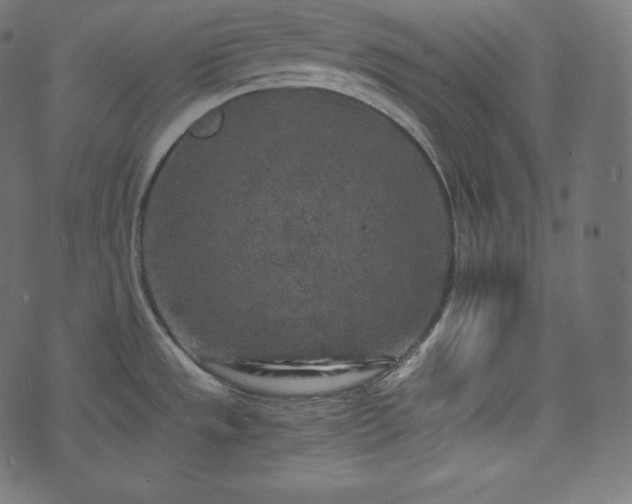 X0000073861533200608170930