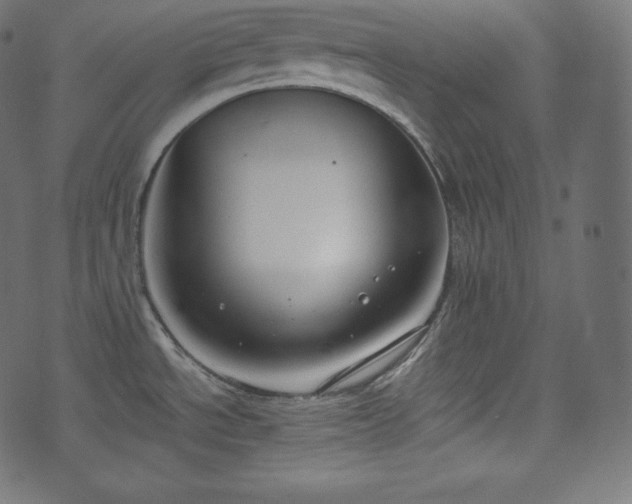 X0000073861534200608170930