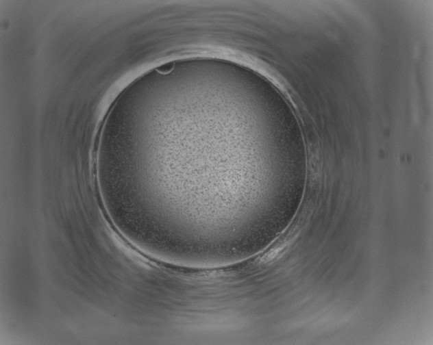 X0000073861535200608170930