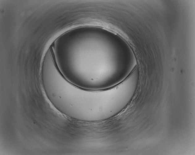 X0000073861536200608170930