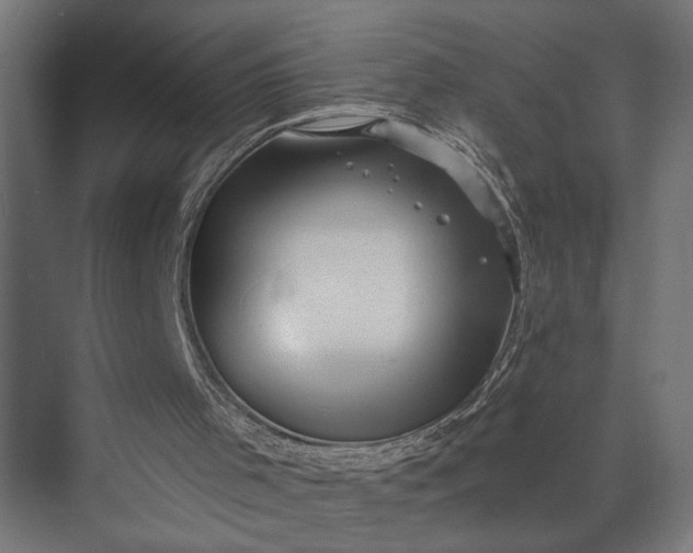 X0000073860001200608241121