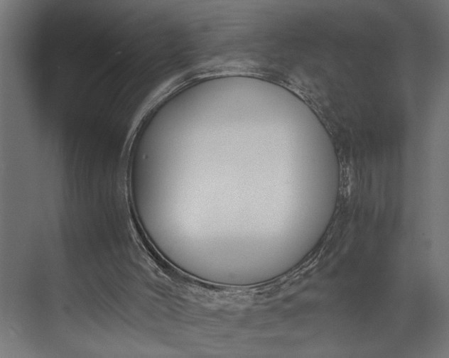 X0000073860004200608241120