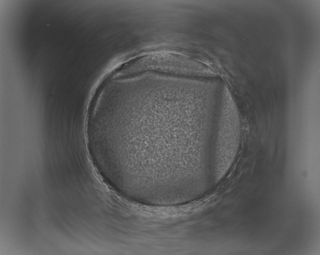 X0000073860006200608241120