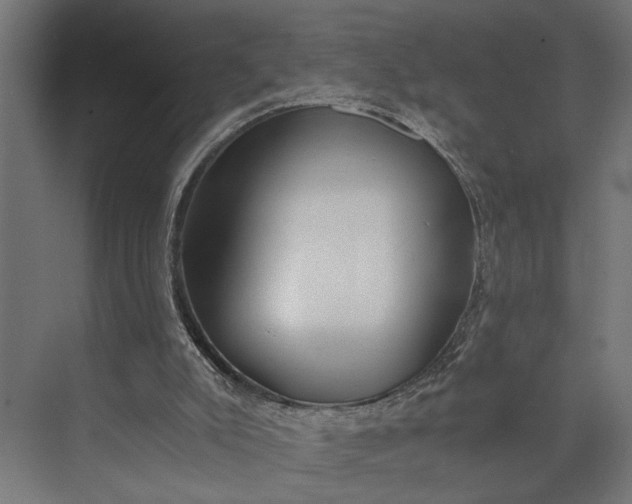 X0000073860007200608241120