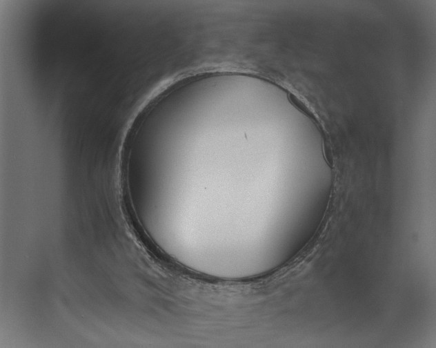 X0000073860008200608241120