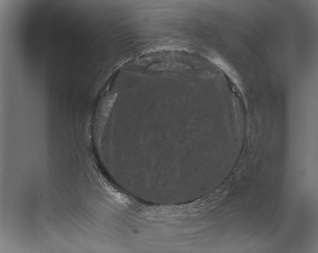 X0000073860009200608241120